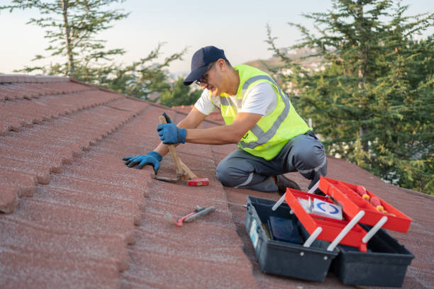 Best Roof Inspection Near Me  in Angier, NC